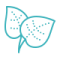icons8-leaf-80